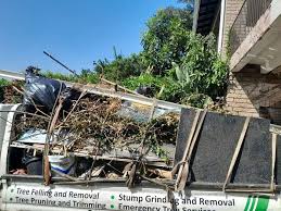 Best Shed Removal  in Hurricane, UT